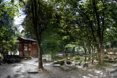 Parc Floral de Bordeaux (5).